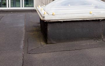 disadvantages of Tinwald flat roofs